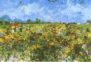 Vincent Van Gogh Green Vineyard Germany oil painting artist